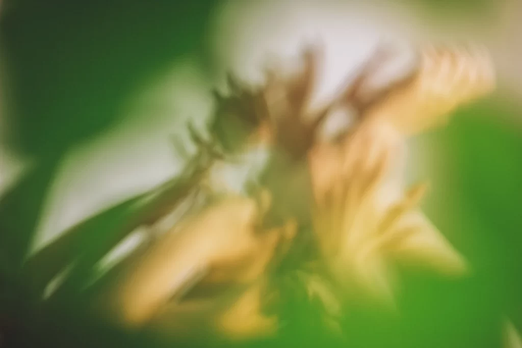 la voce del corpo res